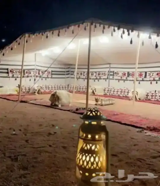 البر البيوت الشعر جميع المقاسات الشعر الماني تركي وطني 2