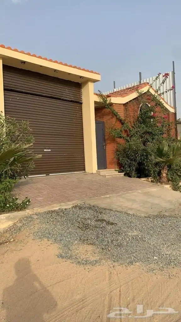 شاليه رواسي مسبحين الويكند 550 وسط الأسبوع 450 28