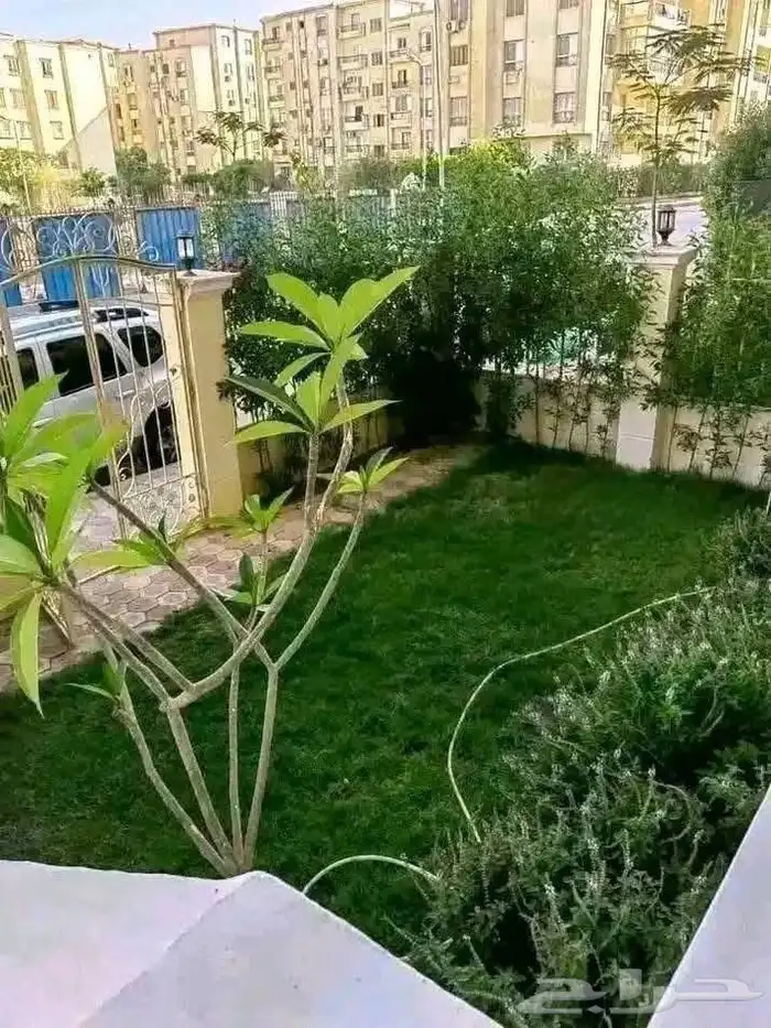 تنسيق حدائق منزلية وحدائق فلل   عشب صناعي وطبيعي 2