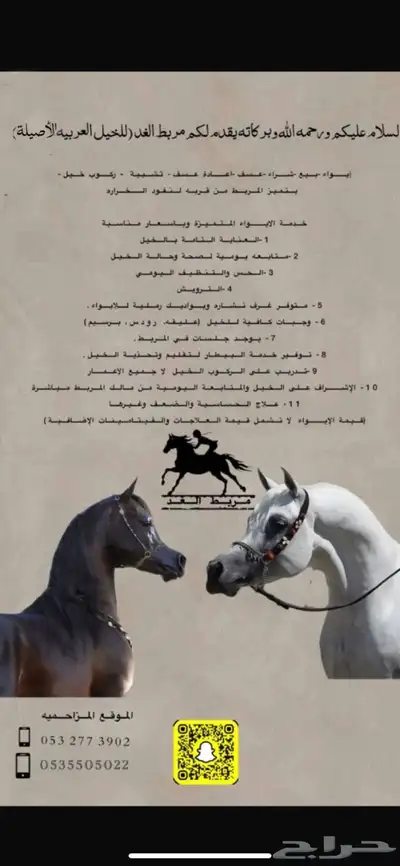 ايوا خيل وعسف 0