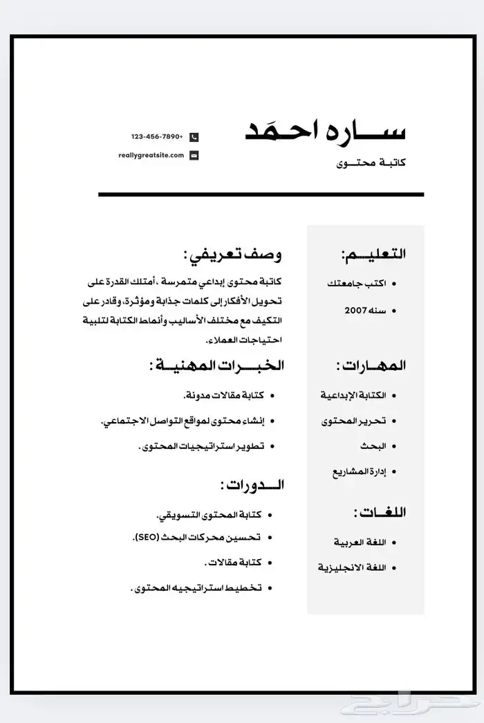 سيرة ذاتية احترافية 3