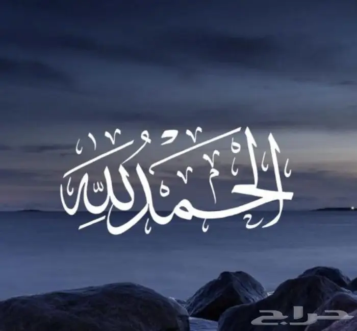 مطلوب شقه اجار 0