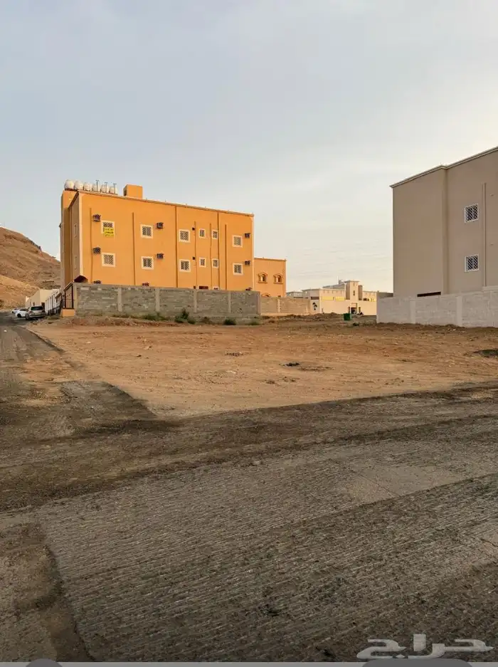 فرصة استثمارية مميزة لشراء ارضين متجاورة في حي الروضة بسراة 0