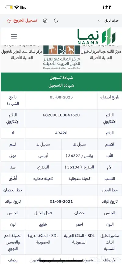 حصان واهو للبيع index