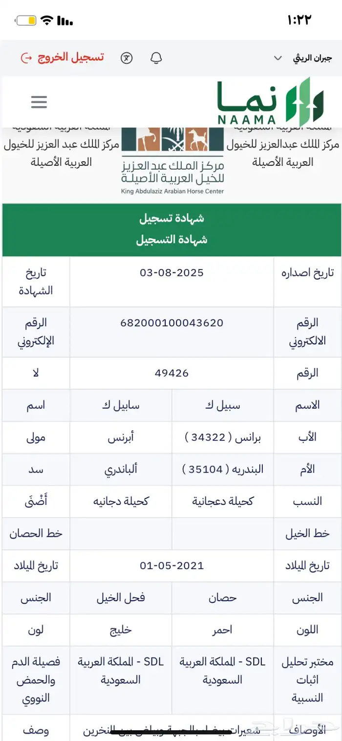 حصان واهو للبيع 3