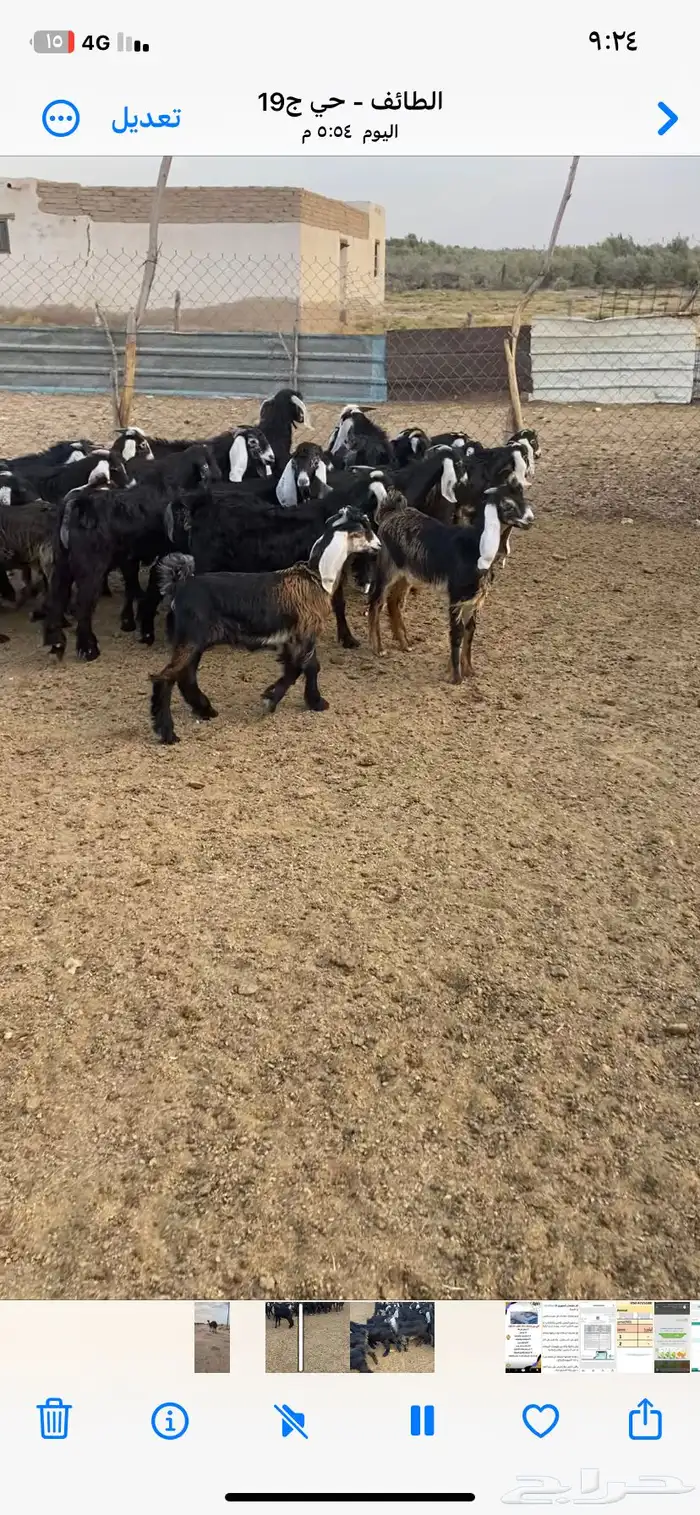 تيوس عوارض 4