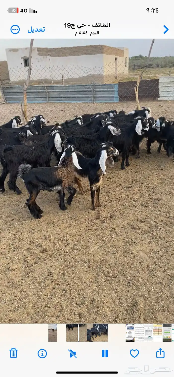 تيوس عوارض 3