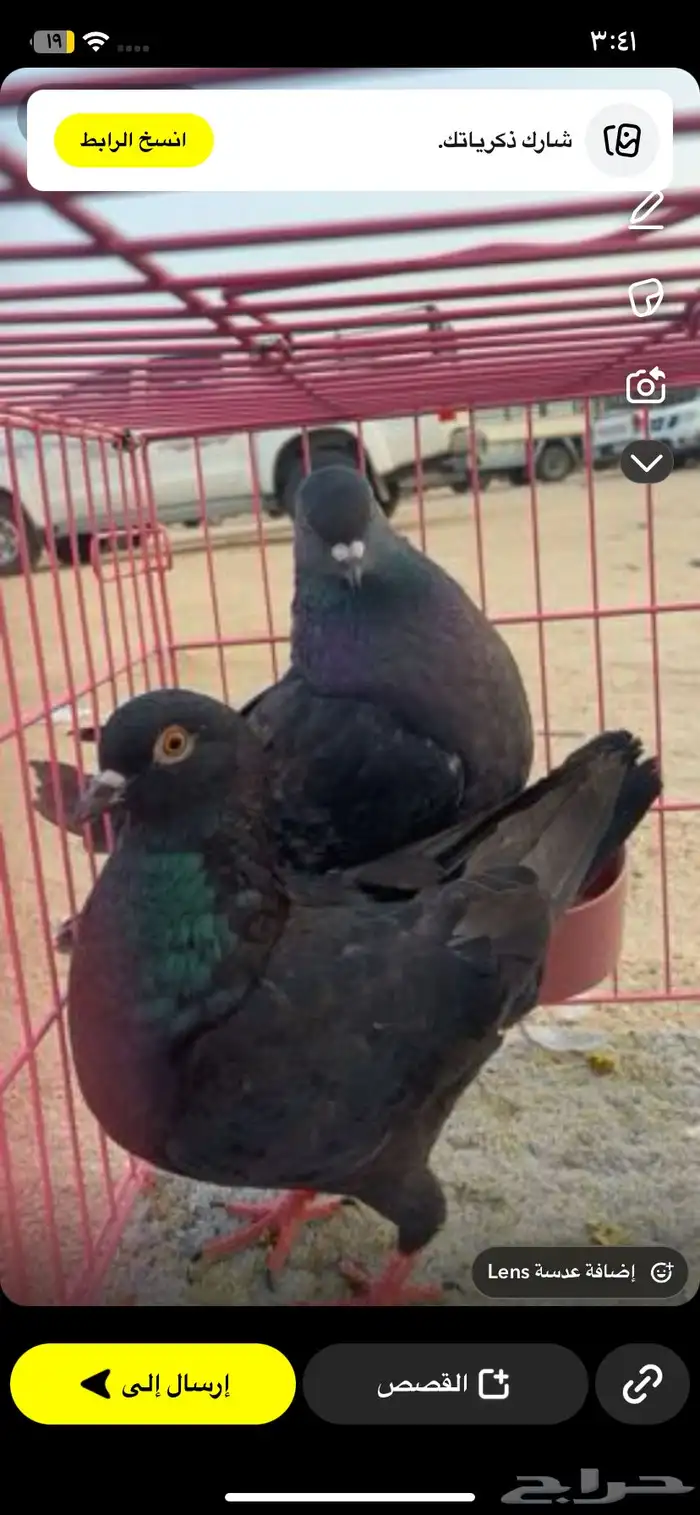 حمام كنق 2
