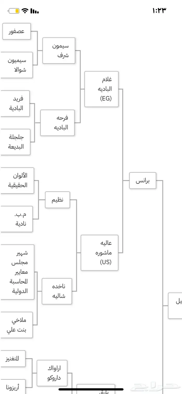 حصان واهو للبيع 4