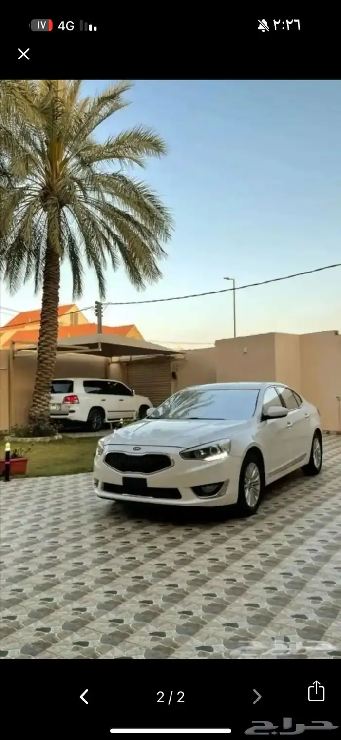 مطلوب   كادينزا 0