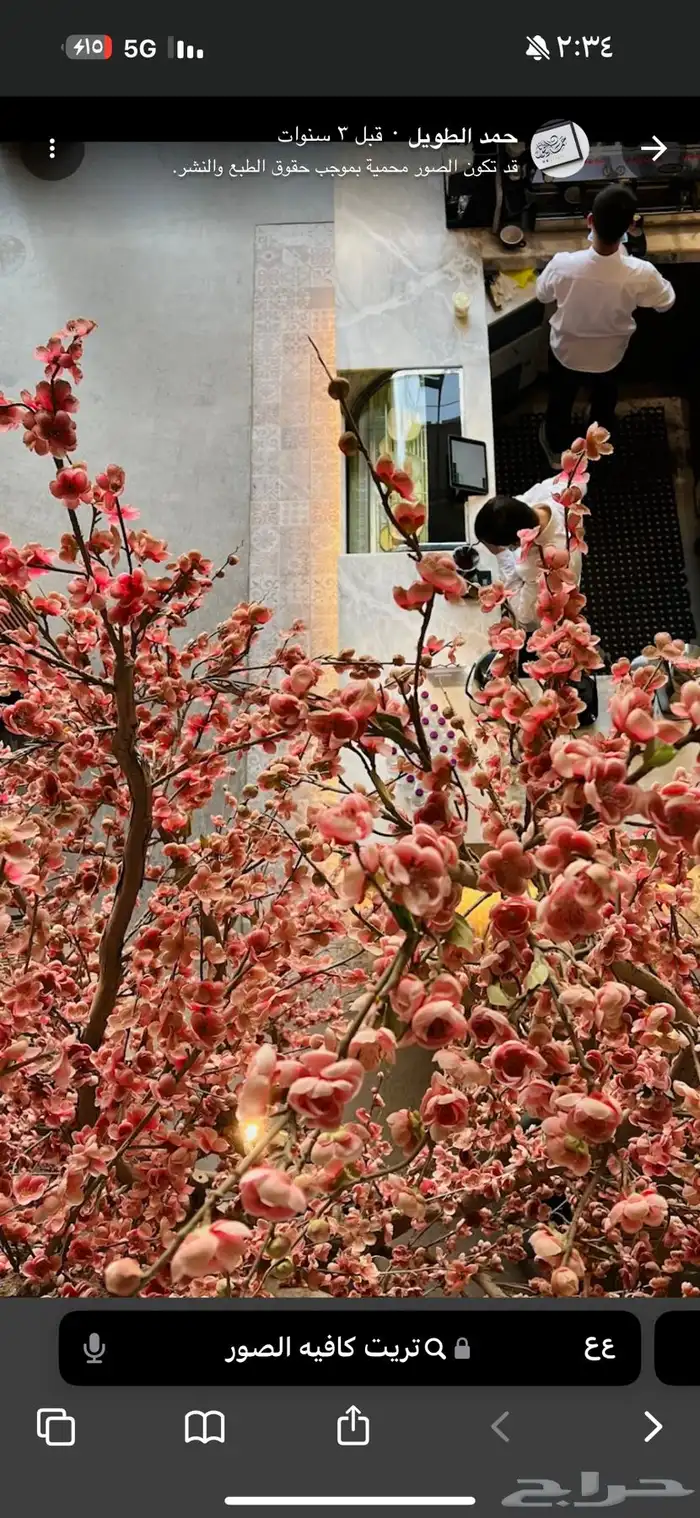 شجرة صناعية أغصان طبيعيه طول 5 متر 2