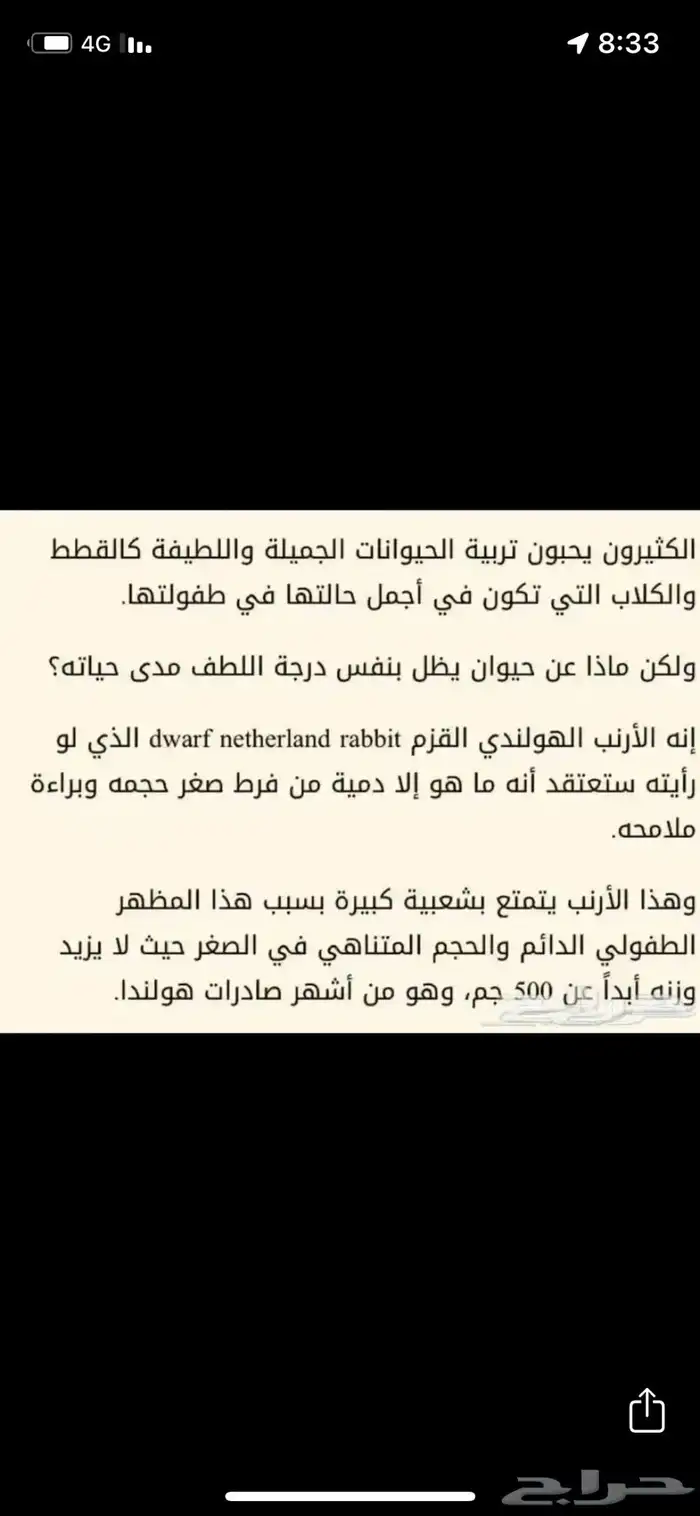 ارانب نذر لاند القزميه 26