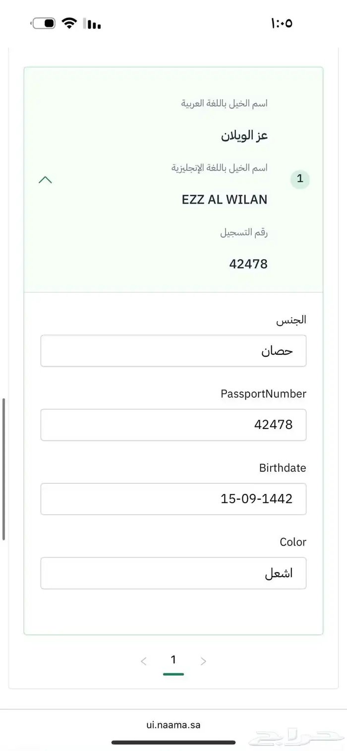 خيل عربي أصيل 3