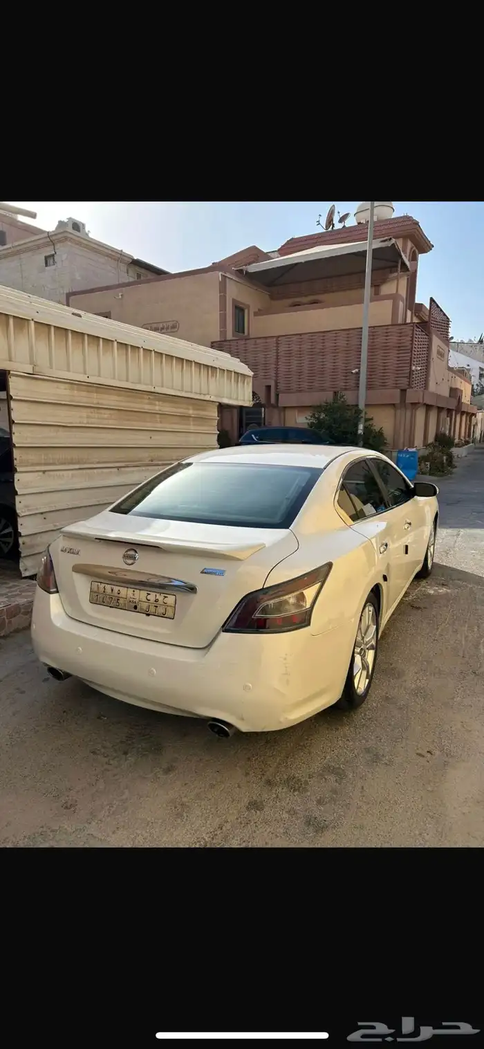 مكسيما 2014 6