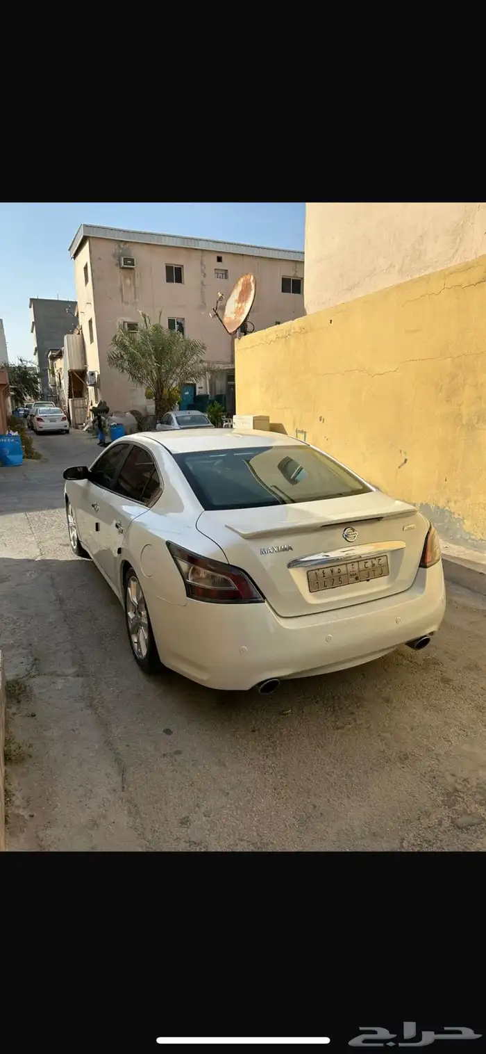مكسيما 2014 5