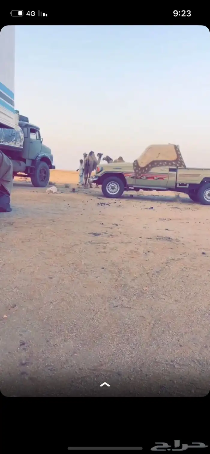 شاص 2005 0