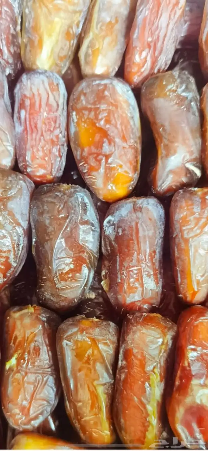 رطب شمشوله فاخر عام الجديد 1447 طيب بالحيل 3
