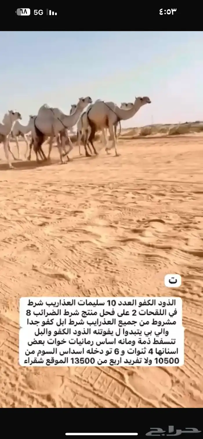 لابل و معدات 1