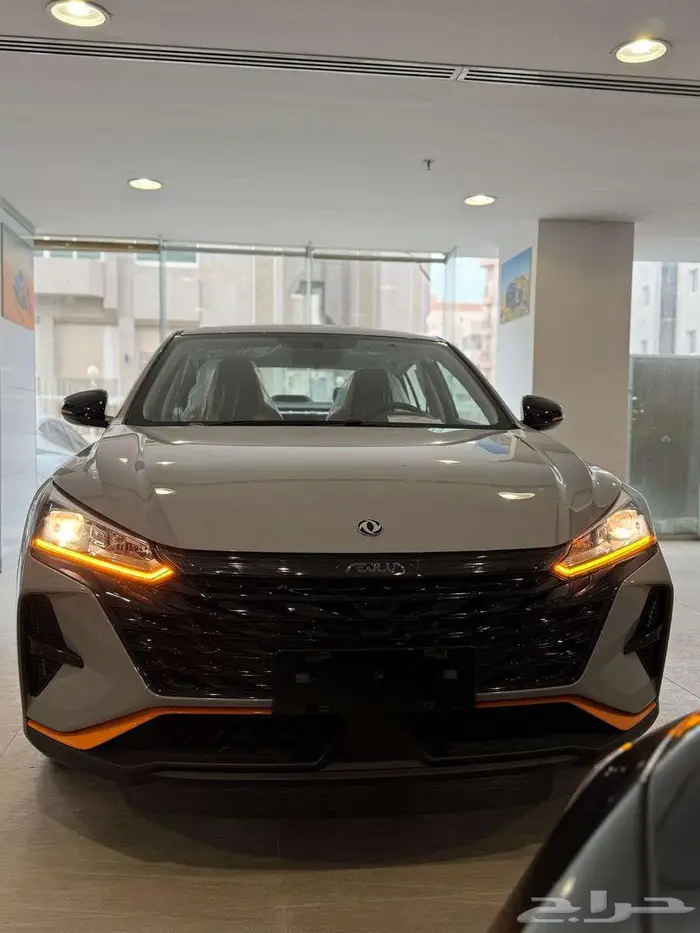 دونج فينج شاين 2025 1