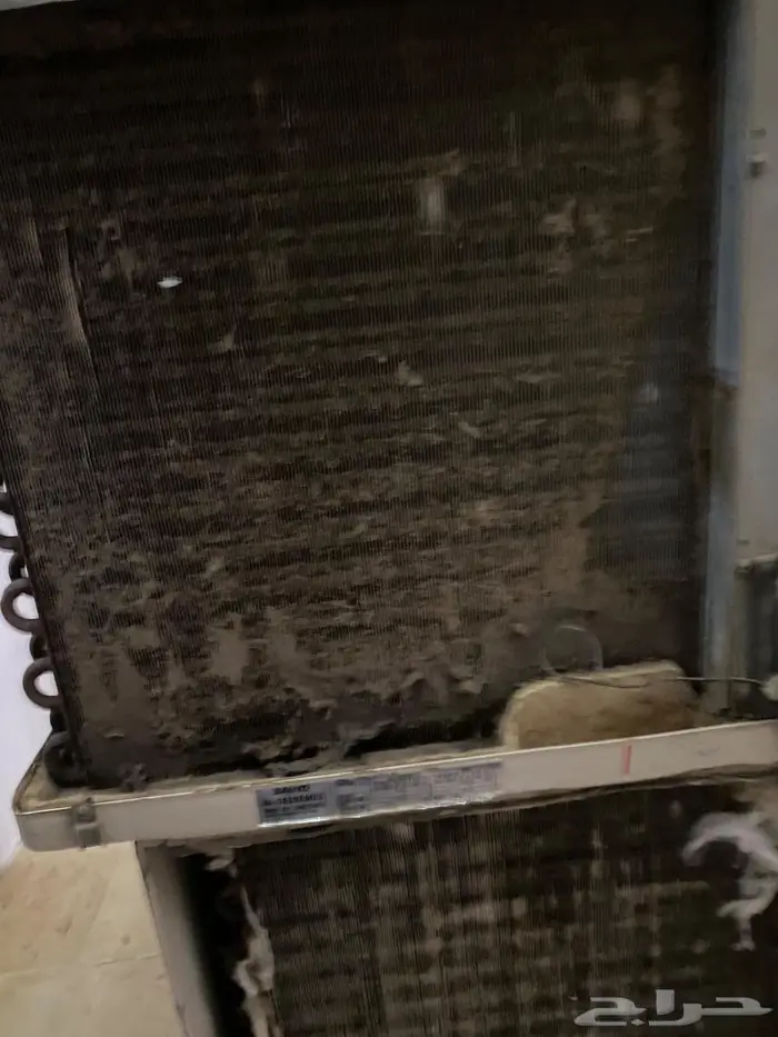 خميس مشيط حي الرصراص 1