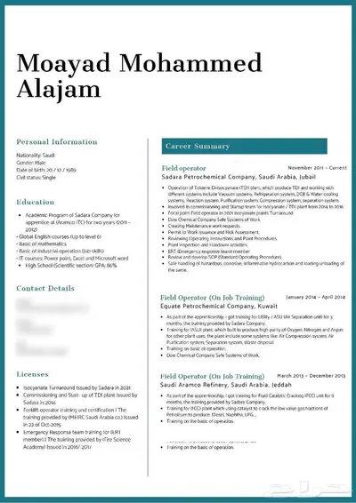 سيرة ذاتيه CV احترافي 5