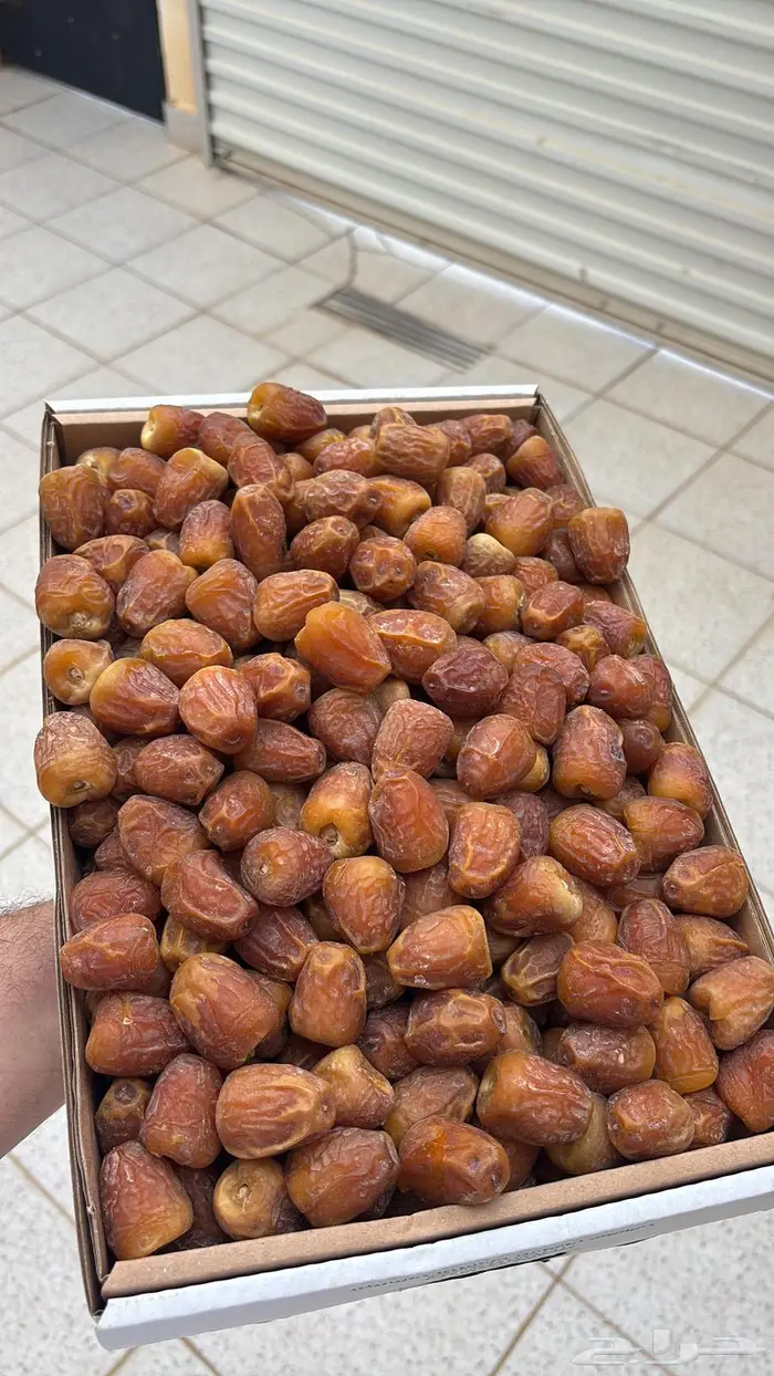 جالكسي تمر 2