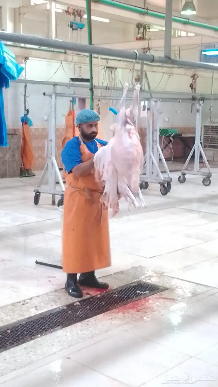ذبائح طيبه 2