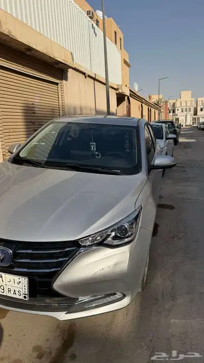 شانجان السيفن 2026 1