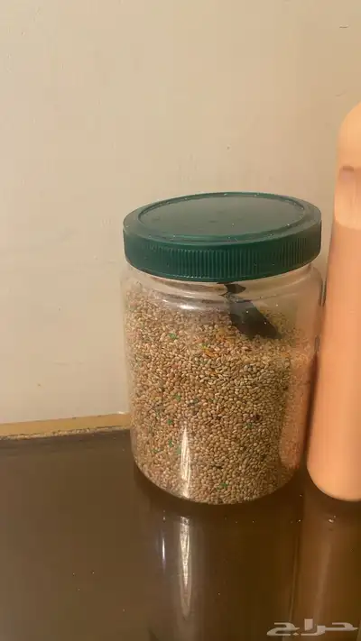 للبيع طيور حب 2