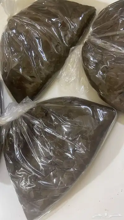 دلكة سودانية 0