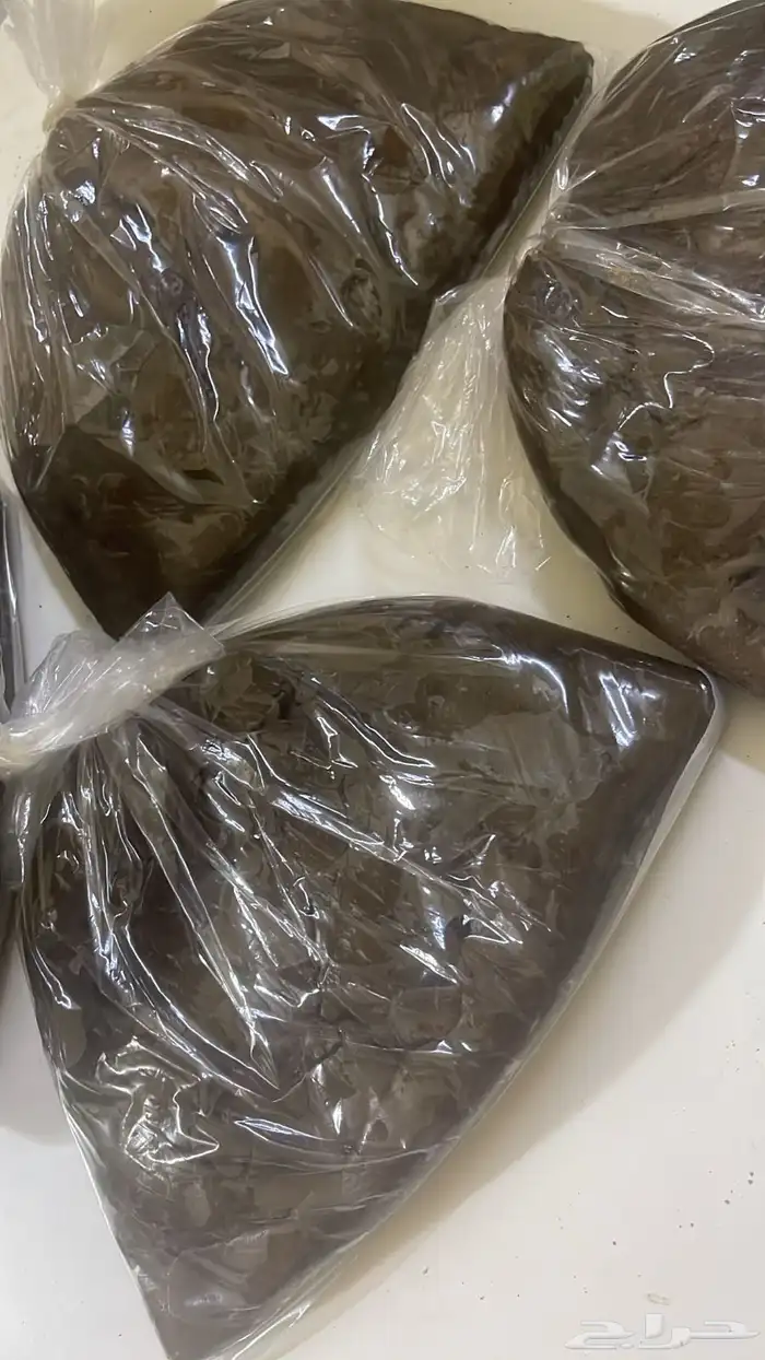 دلكة سودانية 0