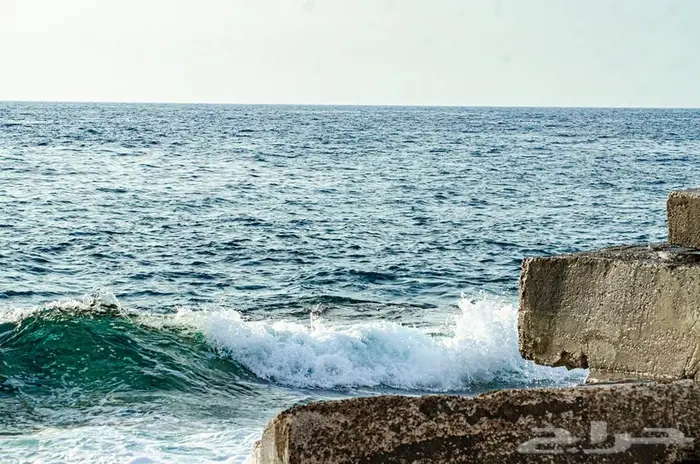 كاميرا نيكون NIKON D7000 13