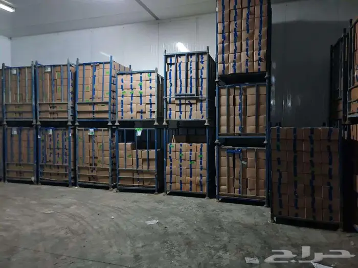 خضروات مجمدة بالجملة 3