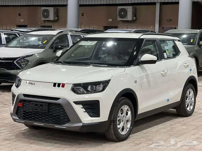 سانق يونق تيفولى 2024 2