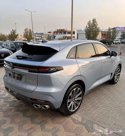 شانجان يوني كي 2025 39