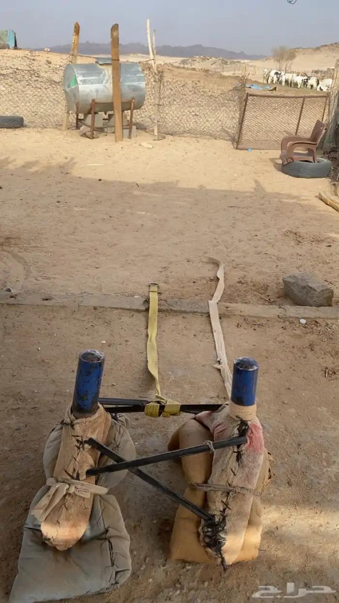 شداد  نظيف بالمرة 2
