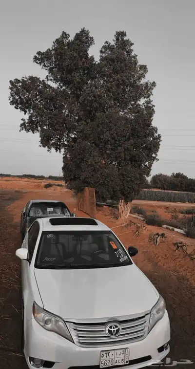 افالون 2011 1