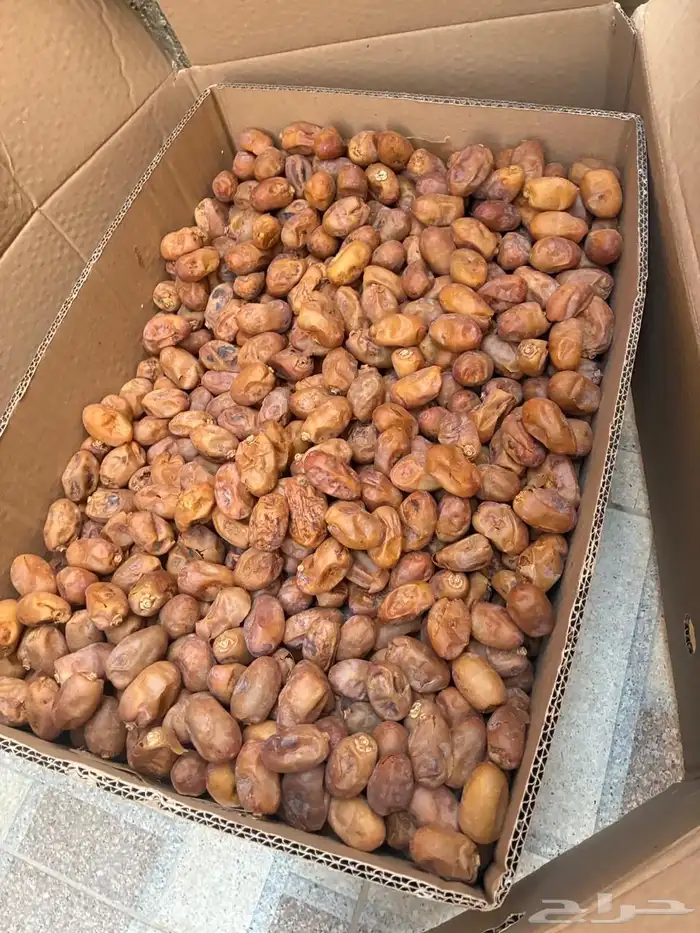 تمر اخلاص 20 كيلو للغنم والابل 1