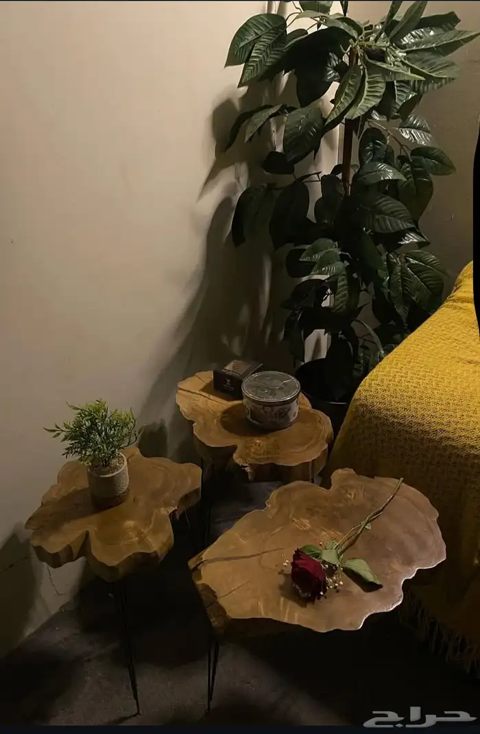 طاولة طبيعي 5