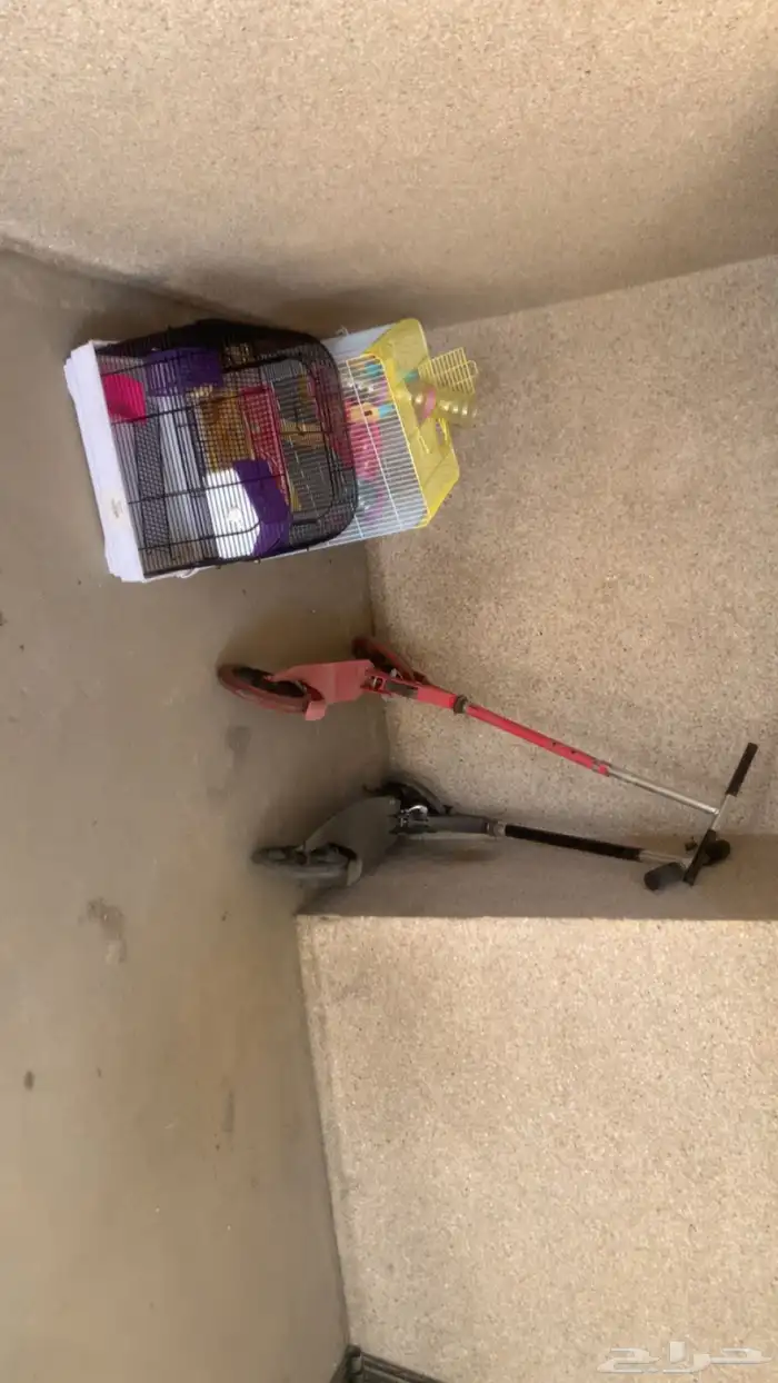 قفص و اسكورترات 0