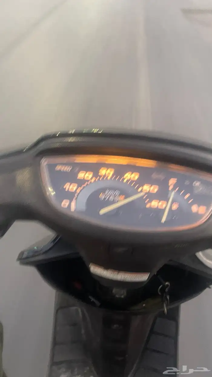 دباب بطه نظيف 5