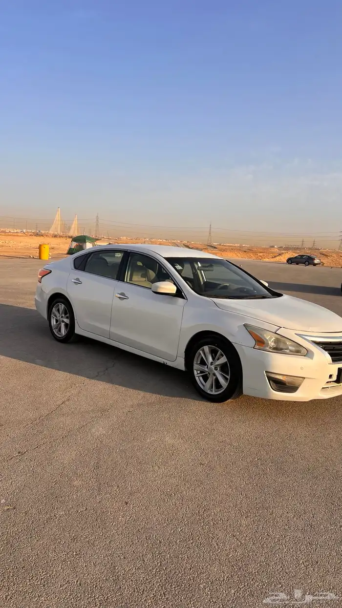 التيماء 2014 6سرندل 1
