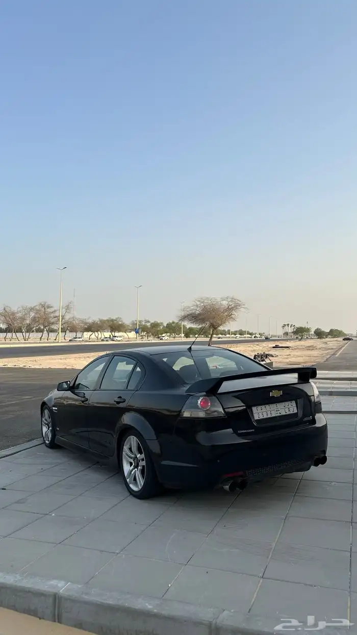 لومينا SS 2009 15