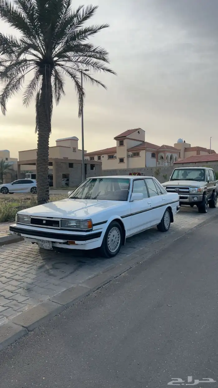 كراسيدا 0