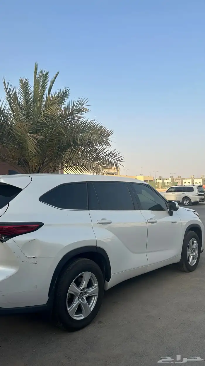 هايلاندر 2021 هايبرد ستاندر 1