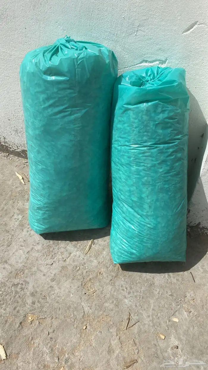 نشاره خيل معقمه 0