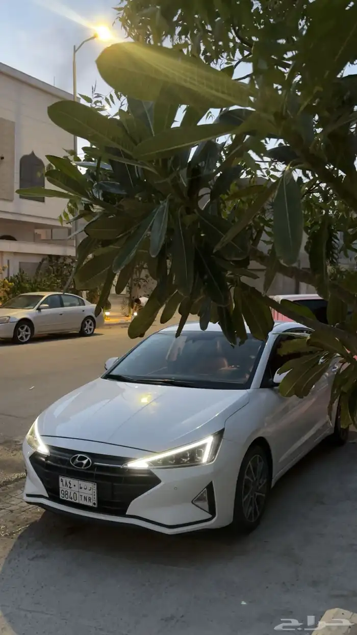 النترا 2019 للبيع ورد كوريا 1