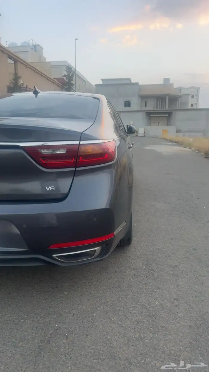كادينزا 2018 4