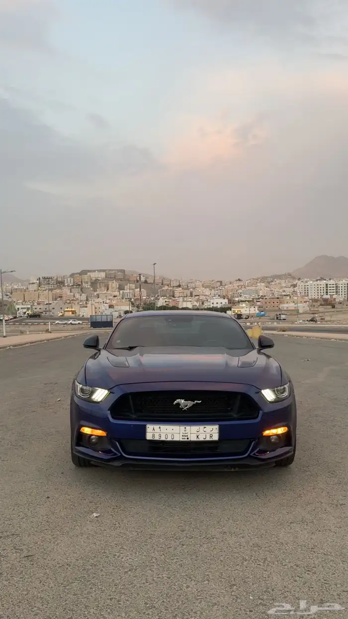 موستنج جي تي بريميوم 2015 اصدار 50 عام 1