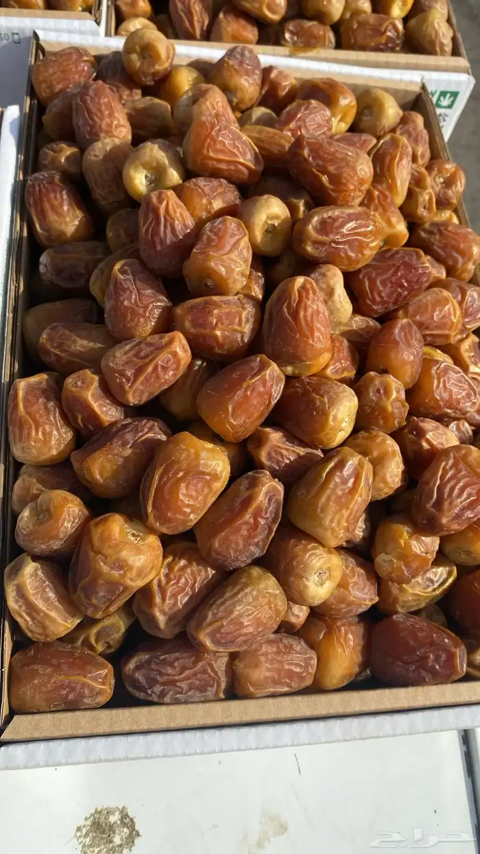 تمر فاخر توصيل جميع مناطق السعوديه 2